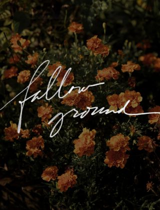 exodus 23 seventh year sabbath and fallow ground